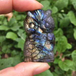 natural Labradorite stone Quartz Crystal hand Carved Owl image 4