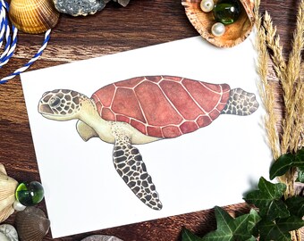 Carte postale imprimée tortue de mer Tortue aquarelle