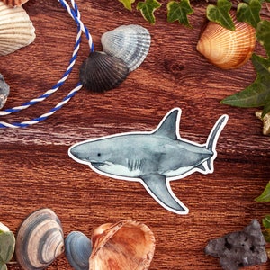 Great white shark sticker Illustration watercolor