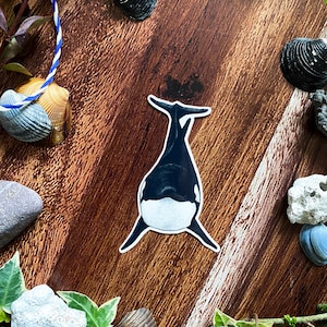 Könnte beinhalten: Ein schwarz-weißer Orca-Wal-Aufkleber mit weißem Bauch und schwarzer Rückenflosse. Der Aufkleber befindet sich auf einer Holzoberfläche mit Muscheln und Grün.