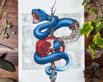 Snake Art Print Pomegranate Illustration Watercolor Picture