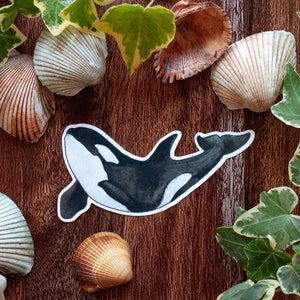 Orca Schwertwal Whale Sticker Aquarell Illustration