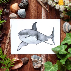 Great white shark illustration A6 postcard Great white shark postcard