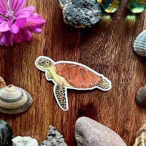 Schildkröte turtle Meeresschildkröte Aufkleber sticker Aquarell watercolour