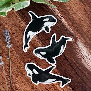 Pack de pegatinas de orca de 3 ilustraciones en acuarela