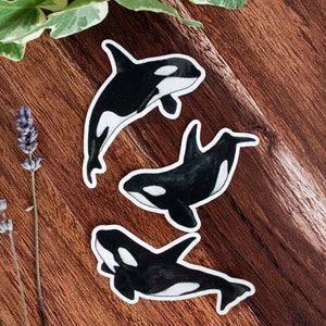 Orca sticker pack of 3 watercolor illustration