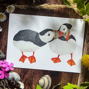 Frailecillos Amor Pareja Ilustración Frailecillos Acuarela Postal