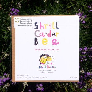 Shrill Carder Bee Recycled Greeting Card Illustrated by Nikki Pontin Endangered British Bugs image 5