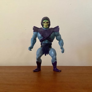 MOTU Skeletor Action Figure
