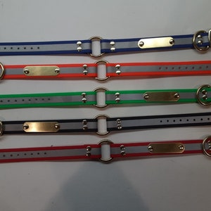 Puede incluir: Cinco collares para perros en azul, naranja, verde, negro y rojo. Cada collar tiene una franja reflectante, una placa de lat&oacute;n y una hebilla met&aacute;lica. Dise&ntilde;ados para la seguridad y visibilidad de las mascotas.