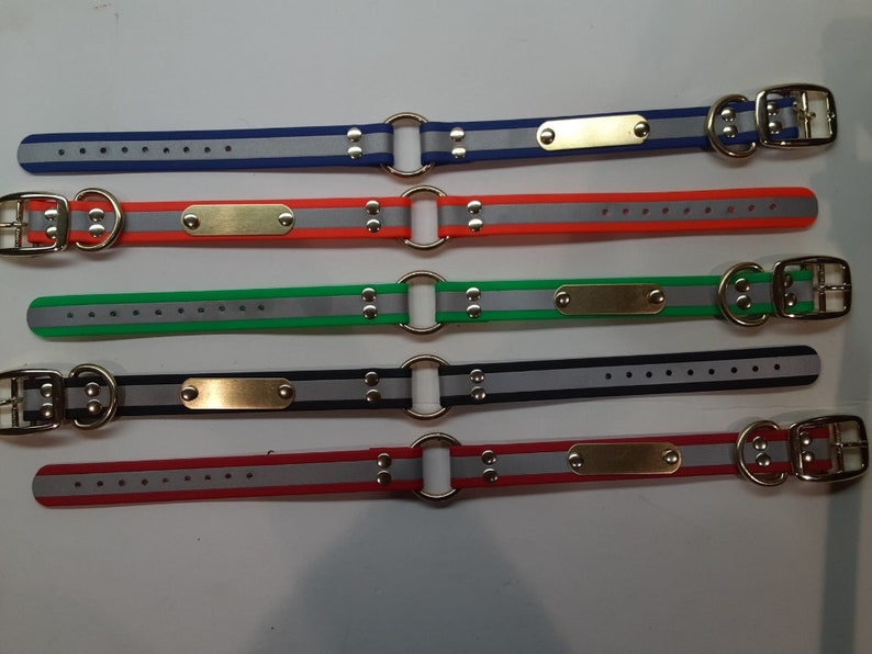 Puede incluir: Cinco collares para perros en azul, naranja, verde, negro y rojo. Cada collar tiene una franja reflectante, una placa de lat&oacute;n y una hebilla met&aacute;lica. Dise&ntilde;ados para la seguridad y visibilidad de las mascotas.