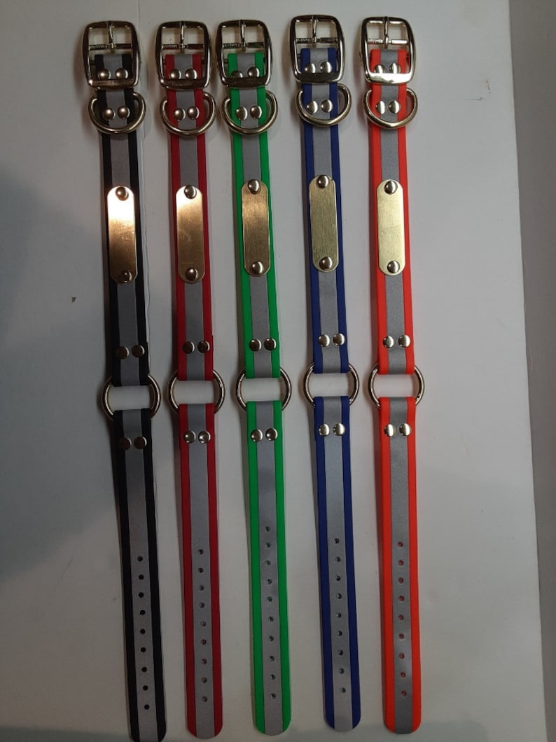 Puede incluir: Cinco collares para perros en fila, cada uno de un color diferente: negro, rojo, verde, azul y naranja. Cada collar tiene una franja plateada reflectante en el centro, una placa de lat&oacute;n y una hebilla y un anillo de metal.