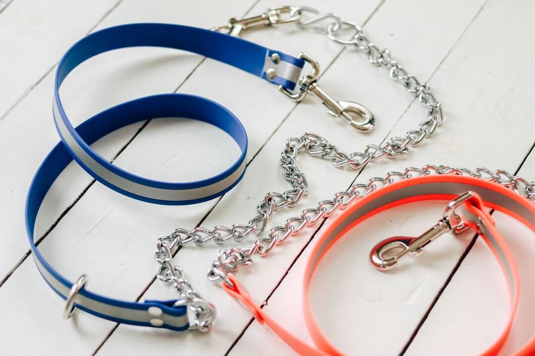 Biothane Dog Leash Swimming Dog Leash Odor and Bacteria Etsy