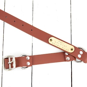 Personalized Dog Collar, Waterproof Dog Collar, Heavy Duty Bio Thane Collar, Brass name tag included