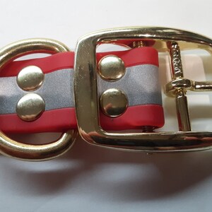 Puede incluir: Primer plano de un collar para perros con un dise&ntilde;o a rayas rojas y plateadas. El collar presenta herrajes met&aacute;licos dorados, que incluyen una hebilla, una anilla en D y remaches. El collar est&aacute; hecho de un material flexible.