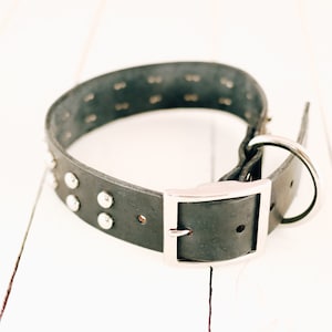 Studded dog collar, 2 rows of studs, gift, stylish dog collar