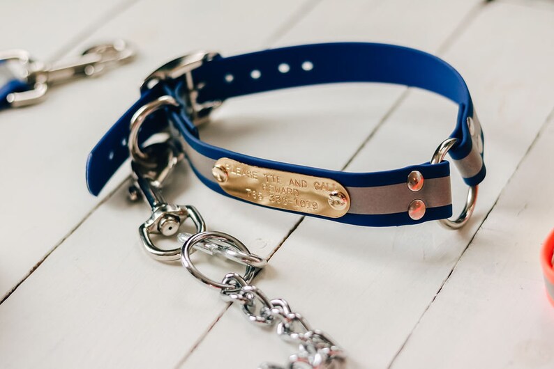 BioThane reflective hunting dog collar Safety reflective dog Etsy