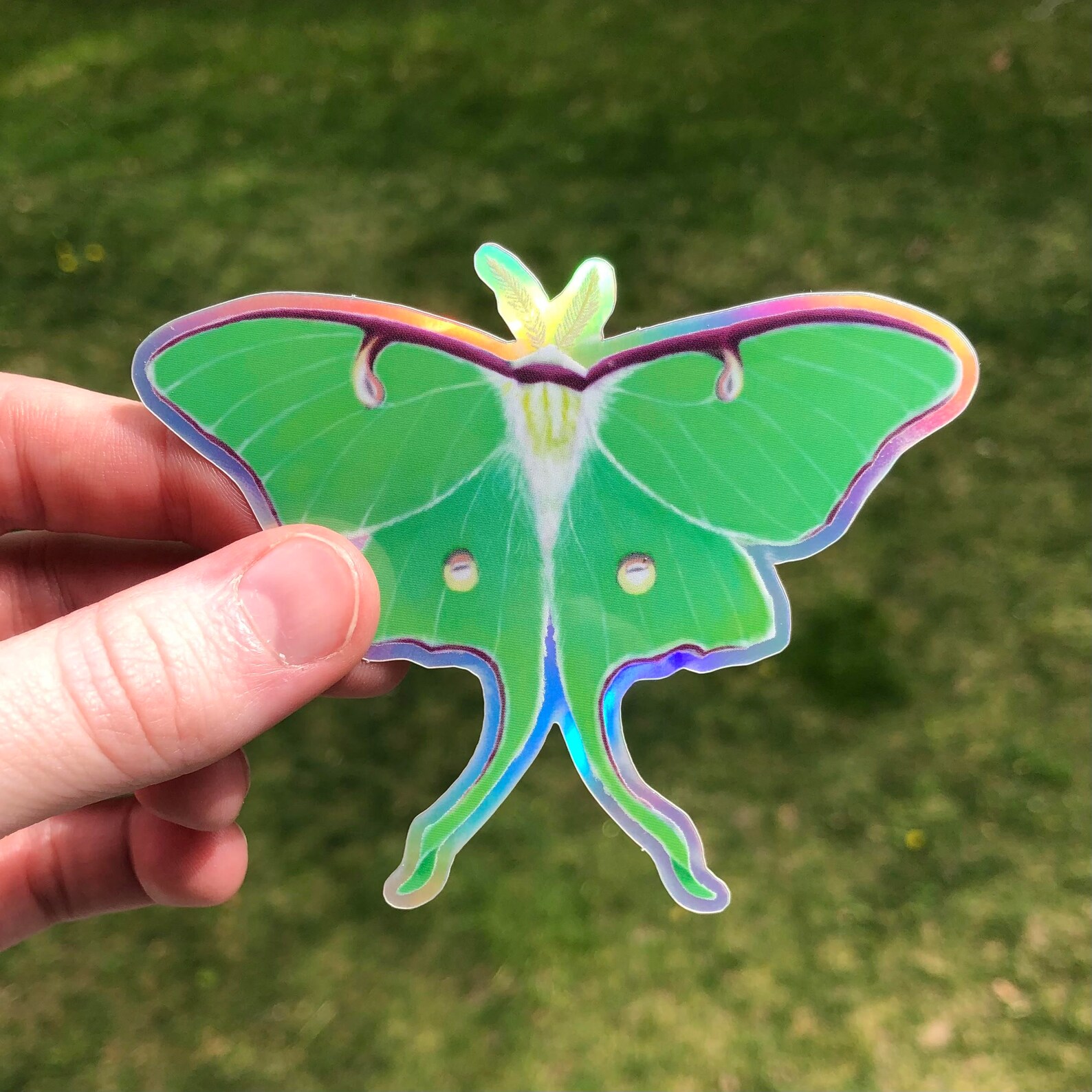 Holographic Vinyl Sticker: Luna Moth | Waterproof Water Bottle Sticker ...