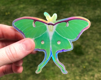 Holographic vinyl Sticker: Luna Moth | Waterproof water bottle sticker | Laptop Sticker