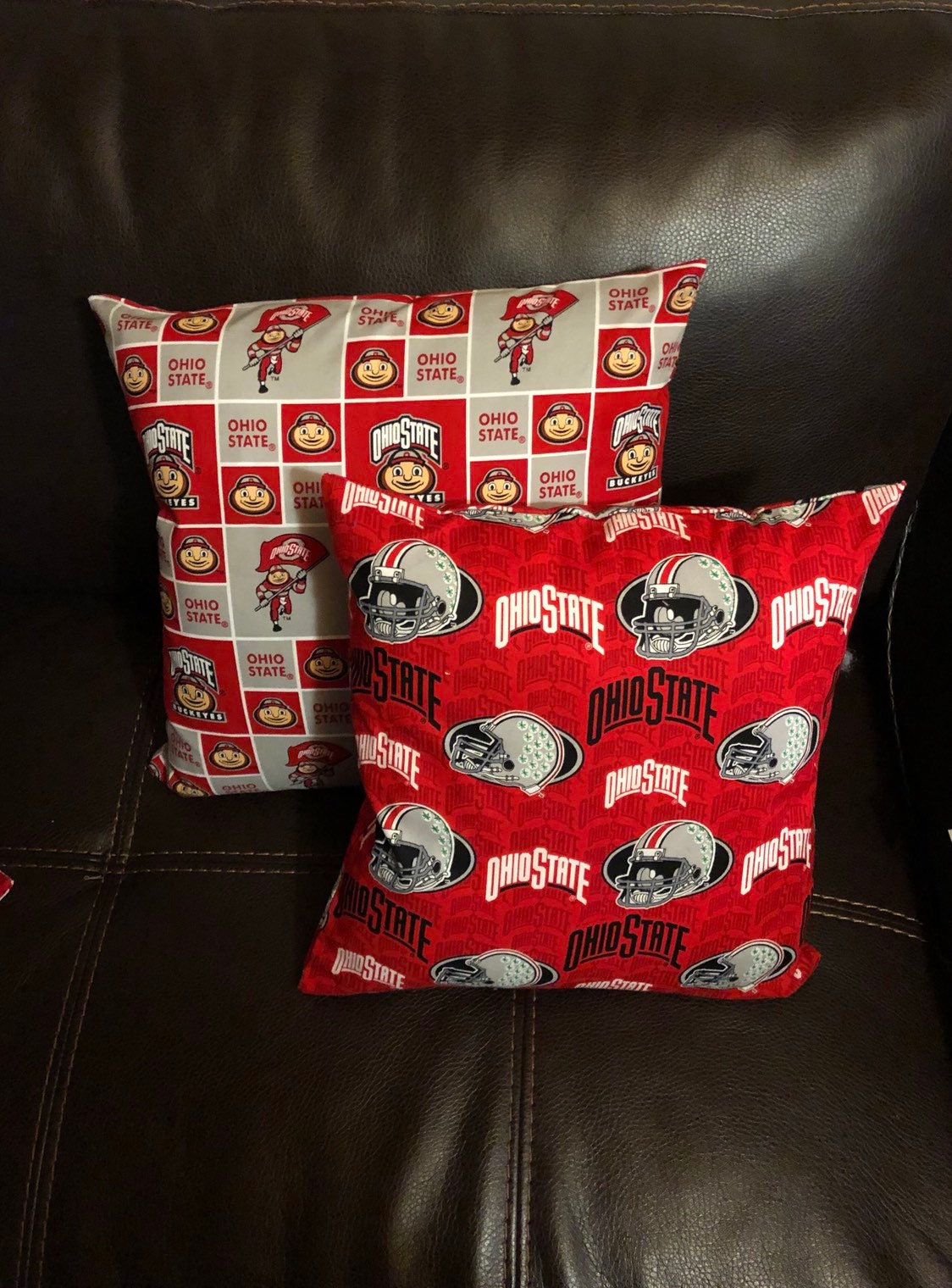 Ohio State University Decorative Pillow Cover