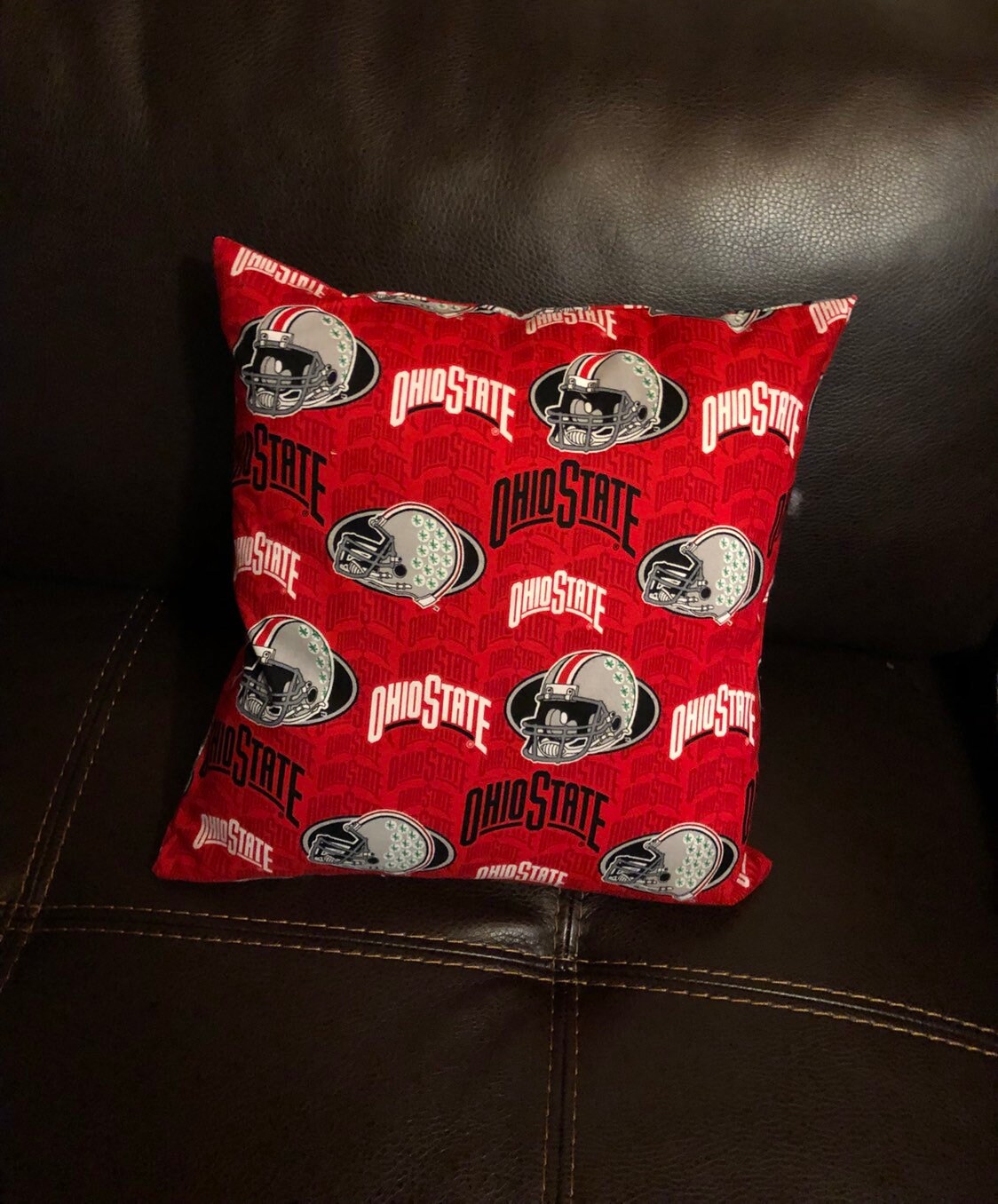 Ohio State University Decorative Pillow Cover