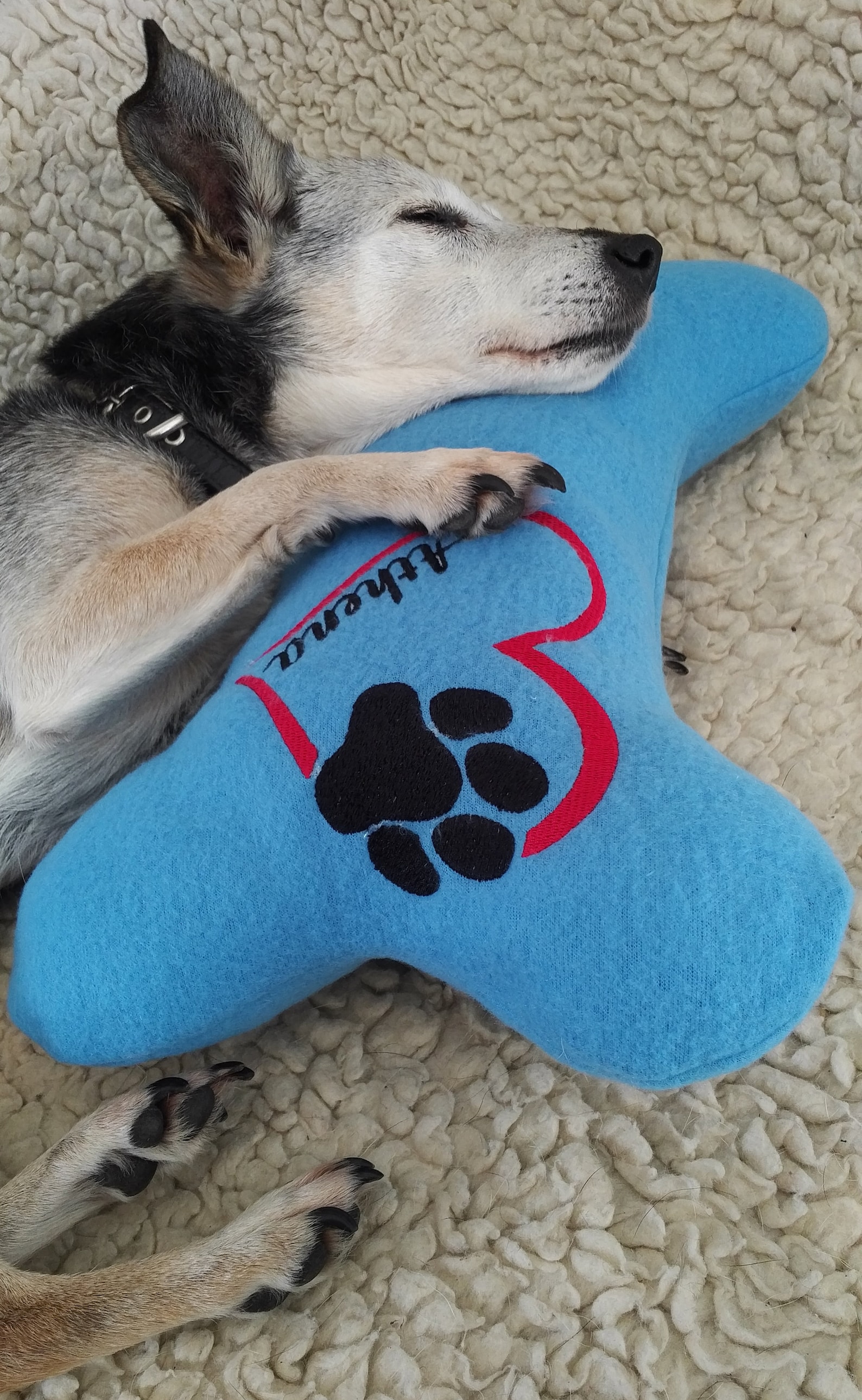 Kuscheliges Hundekissen Kopfkissen für Hunde in Knochenform Etsy