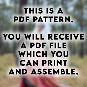 May include: Text on a blurred background reads: "This is a PDF pattern. You will receive a PDF file which you can print and assemble."