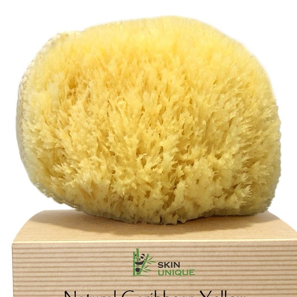 Skin Unique Caribbean Yellow Natural Sea Sponge in Gift Box -  100% Natural, Organic, Hypoallergenic, Strong, Durable with Rope