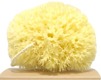 Skin Unique Mediterranean Yellow Natural Sea Sponge in Gift Box - Honeycomb, Strong, Durable - 100% Organic, Hypoallergenic - For Children