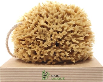 Skin Unique Mediterranean Natural Sea Sponge in Gift Box - Unbleached Honeycomb, Strong, Durable - 100% Organic, Hypoallergenic - Children