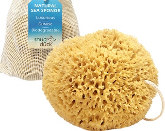 Snug Duck Mediterranean Natural Sea Sponge in Organza Gift Bag - 100% Organic, Unbleached Honeycomb, Hypoallergenic, Strong, Durable