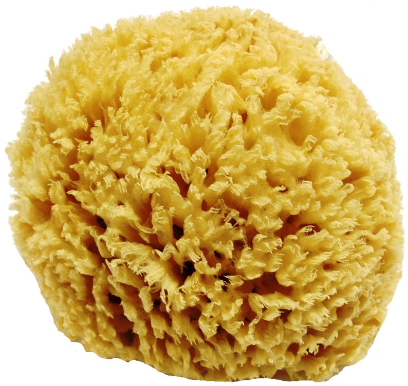 Unbleached Honeycomb Natural Sea Sponge 100% Natural, Organic, Strong, Durable, Hypoallergenic For Children and Adults Bath & Shower image 1