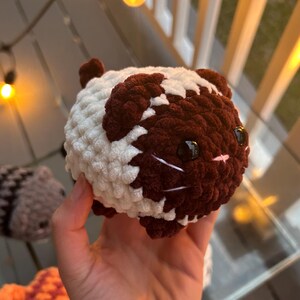 May include: A round, plush crochet guinea pig toy featuring a two-tone color pattern of dark brown and cream white yarn. The stuffed animal has two shiny black plastic eyes, a small pink stitched nose, and white yarn whiskers on its face.