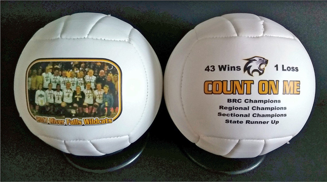 Personalized Mini Volleyballs 6 Etsy