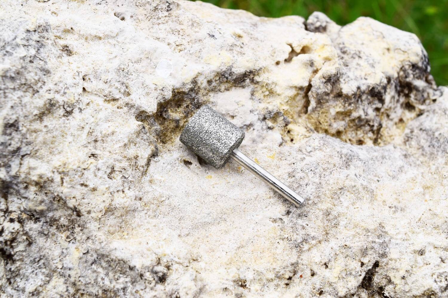 Diamond dremel head DOG GROOMING nail grind trim pet grooming large c…