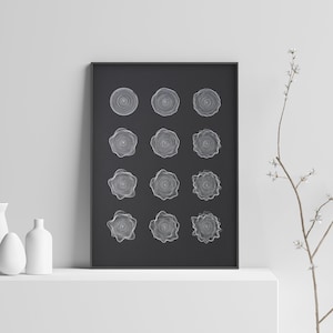 Orbital 1 Noir Geometric Abstract Wall Art Pen Nature Inspired Line Drawing Print Illustration Minimalist Monochromatic Botanical Home Decor