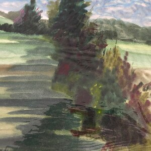 Drzewa w pobliżu oceanu