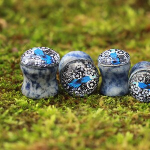 Blue Bird Stone Picture Plugs Gauges | Blue-spot Jasper Stone Plugs | Double Flare Handmade tunnel
