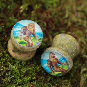 Big Foot With Garlic Stone Picture Plugs Gauges | Unakite Stone Plugs | Double Flare Handmade tunnel