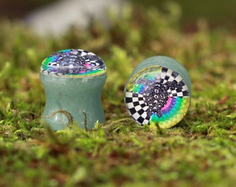 Rainbow Turtle Stone Picture Plugs Gauges | Aventurine Stone Plugs | Double Flare Handmade tunnel