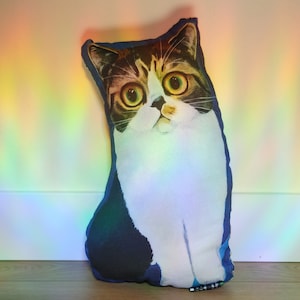 Cat Shaped Handmade Pillow | Decorative Pillow | Kitty Pillow | Animal Couch Pillow | Cushion | Pillow | Cat Gift