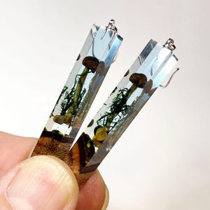 Pendientes de resina con madera de seta auténtica: joyería artesanal de resina con musgo.