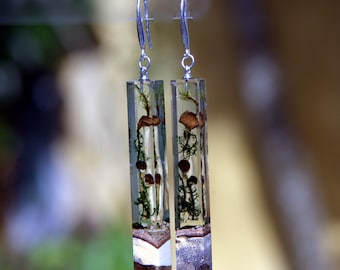 May include: A pair of rectangular drop earrings featuring clear resin encasing small brown mushrooms and green moss. The base of each earring is made of a textured, dark brown wood segment. The earrings hang from silver-toned metal ear wires.