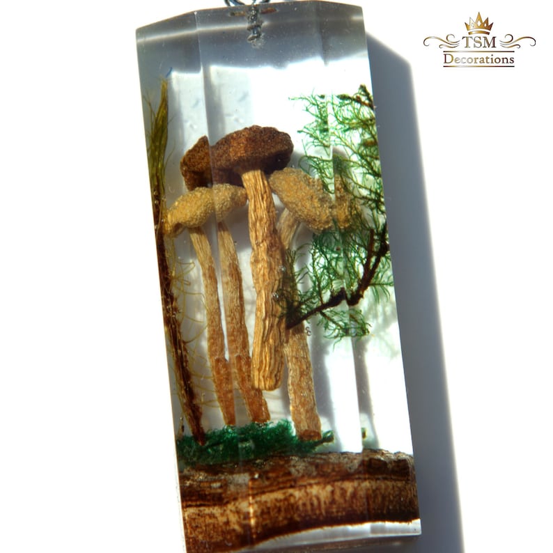 Mushroom crystal Pendant necklace. Crystal terrarium necklace. 3d resin art gift for women. image 2