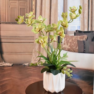 Green Cymbidium Orchids in  Modern White Vase