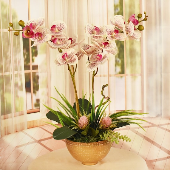 Magenta Orchideen in einer Gold Schale