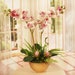 see more listings in the Seiden-Blumenarrangements section