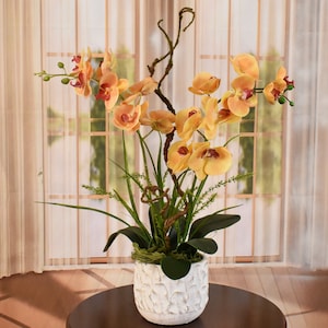 Soft Yellow and Burgundy Sunset Orchid Floral Arrangement with Branches