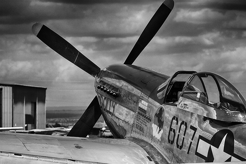 The Magnificent Mustang P-51