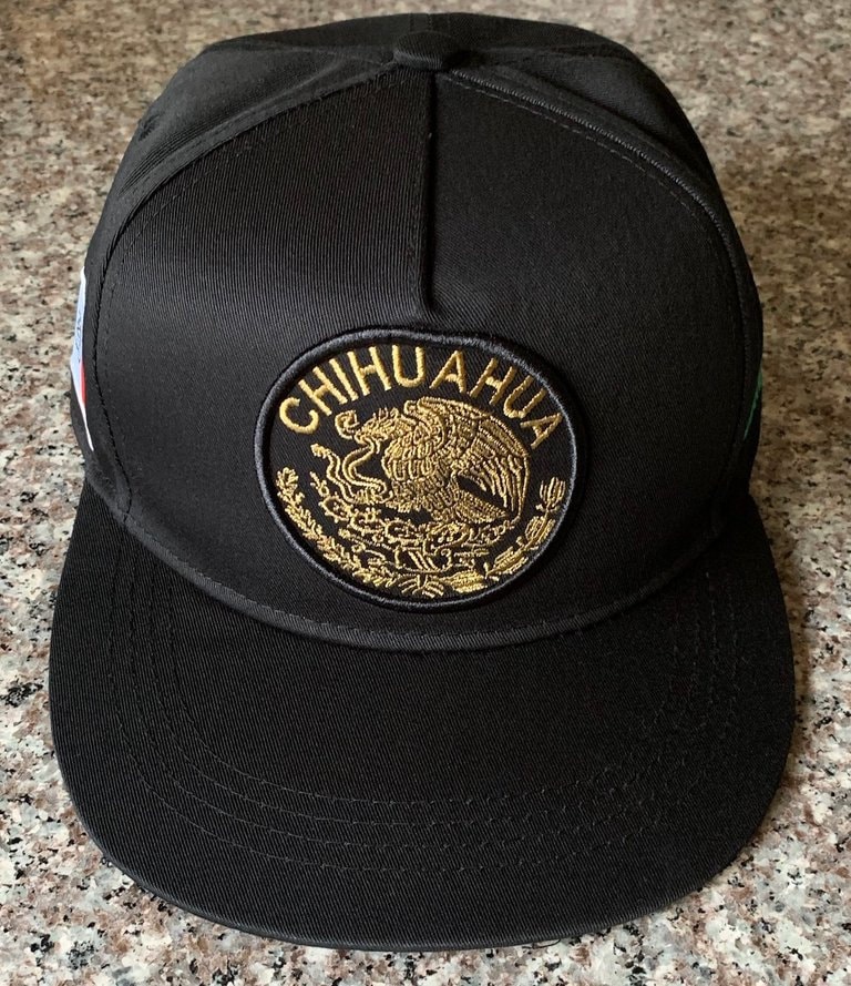 Chihuahua Gorra Federal